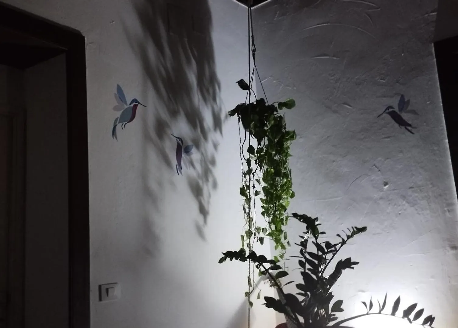 Hotel Acoran Family Guests House Firgas With Included Morning Yoga Practice 0*,  Spanien