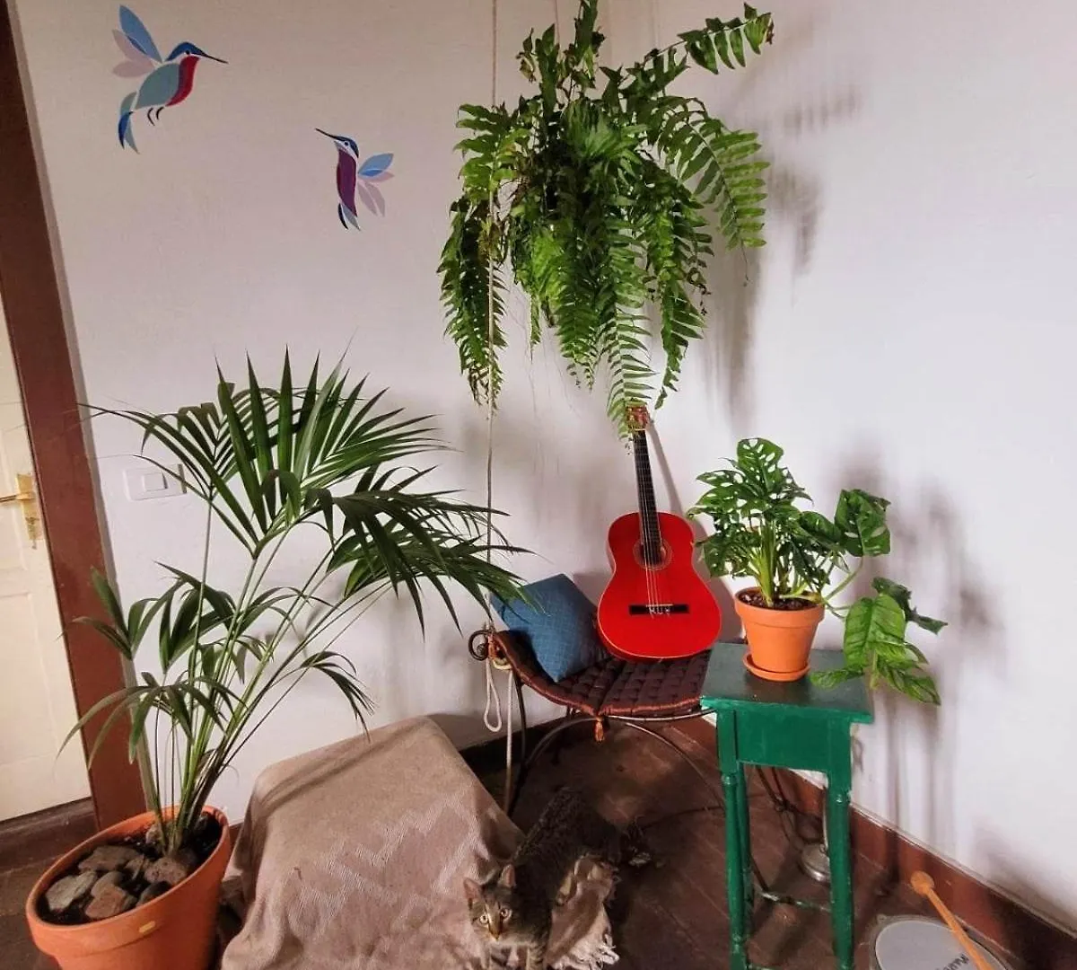 Hotel Acoran Family Guests House Firgas With Included Morning Yoga Practice Gasthof
