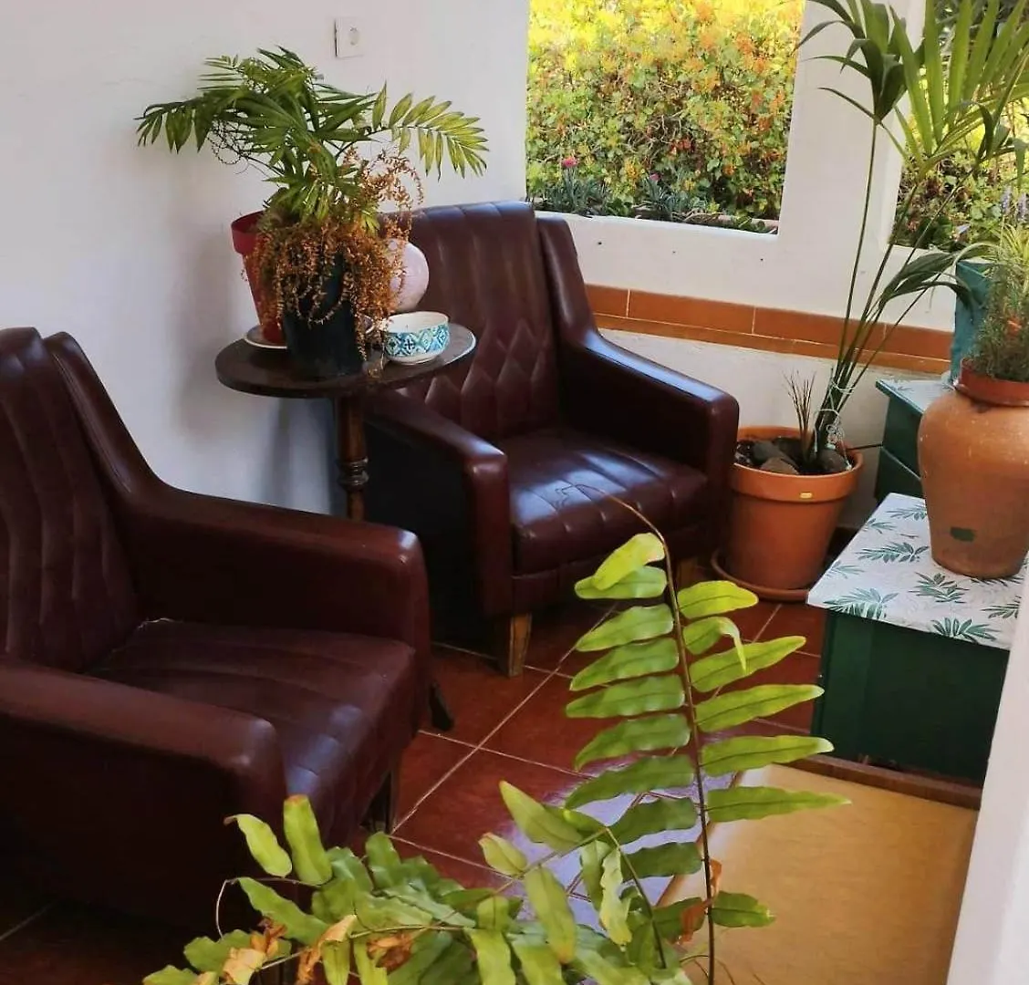 فندق Acoran Family Guests House Firgas With Included Morning Yoga Practice